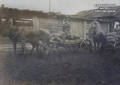 Обоз с хлебом Плотбищенского колхоза им. Ворошилова, 1938 г.